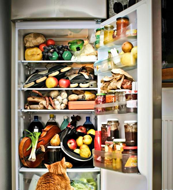 10种方式一劳永逸地恢复了在冰箱:一切在货架上!