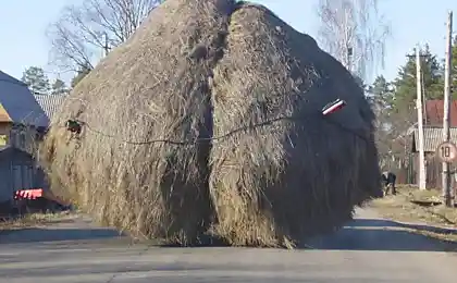 Передвижная подушка безопасности жопсерного типа.
