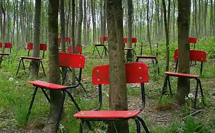 Заседание Greenpeace!