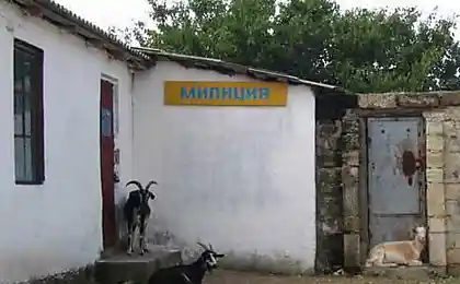 Милиция