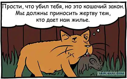 Чому коти вбивають мишей