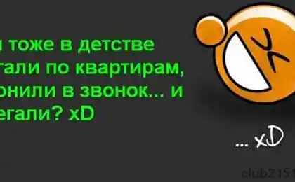 Статусы, цитаты и анекдоты