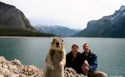Фотоподборка