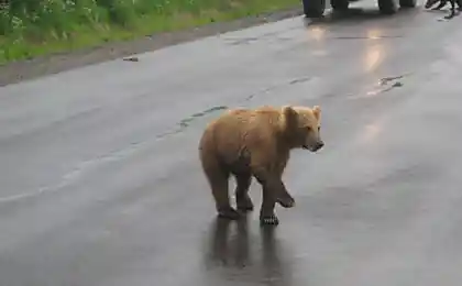 Встреча на трассе