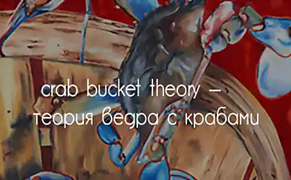 Есть такая чудесная штука, называется crab bucket theory — «теория ведра с крабами»