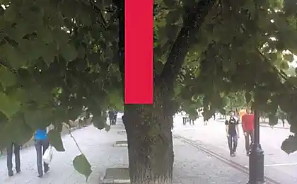 Зачем оно тут?
