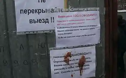 Собаководы его явно не уважают