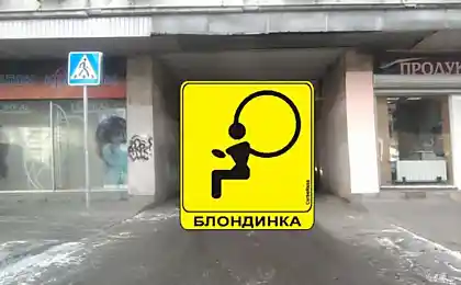 Это может лишить сна...