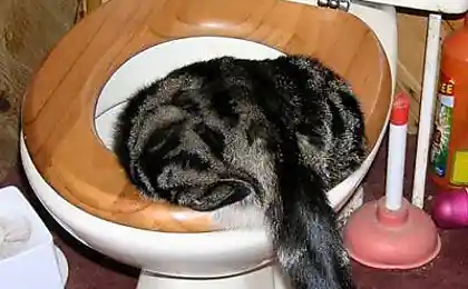 Вот и настало 2 мая...
