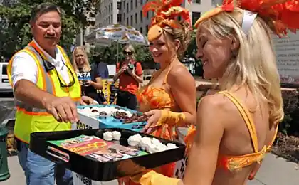 PETA华盛顿