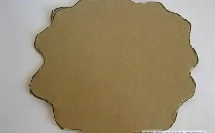 Выращиваем своими руками