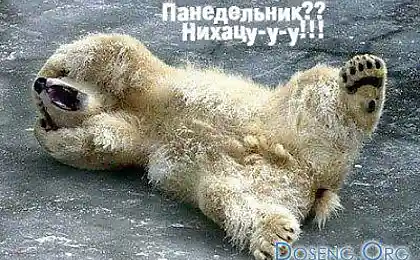Понедельник это...