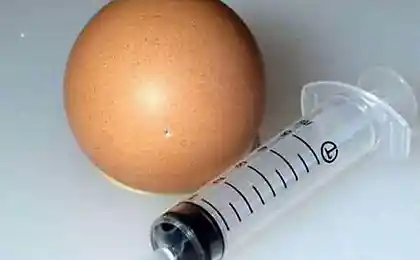 Дирижбомбель из яйца