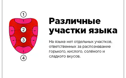 35 самых популярных «фактов» рунета, которые не имеют ничего общего с истиной