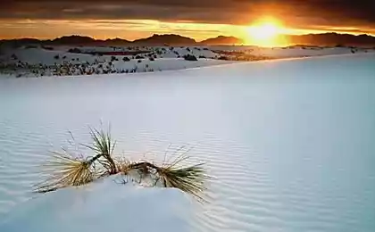 Национальный памятник White Sands в США: территория «вечного снега»