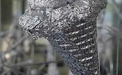 Блестящая коллекция