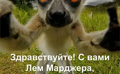 Походимо.