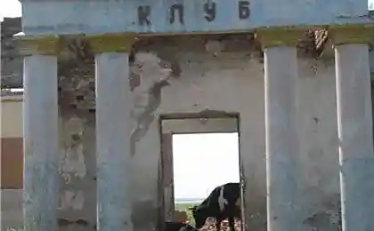Клуб и Телки:-)