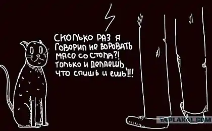 Люди, я розумію!