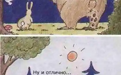 Заяц и медвед (70 картинок)