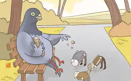 Выбрык эволюции