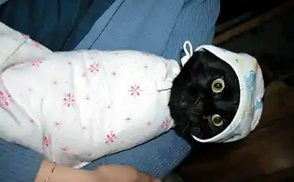 ну все...