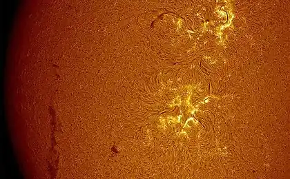 Sun Close-up (12 фото)