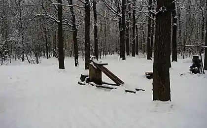 Качалка в лесу (19 фото)