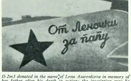 ИЛ-2 "От Леночки за папу"