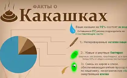 Факты о какашках