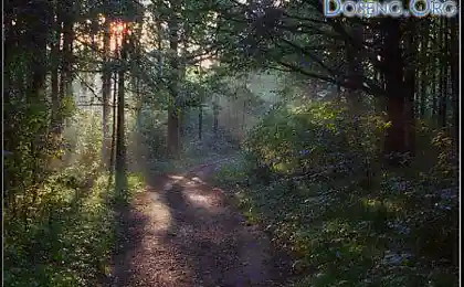 Ещё немного природы...