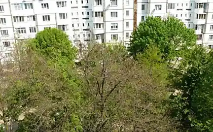 Интересное соседство