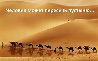 Парадокс человечества  (7 фотографий)