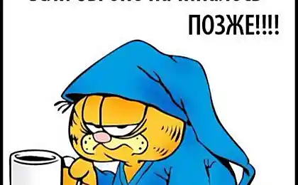 Добавить нечего