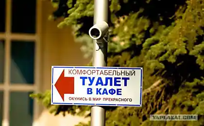 Окунись в мир прекрасного