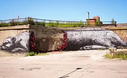 Магія кута
