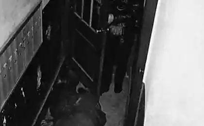 Полицейский фотограф (23 фотографии)