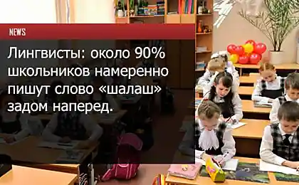 Шокирующие новости из школ