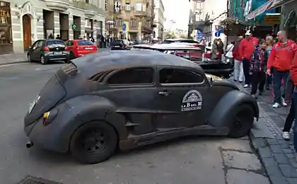Жуки