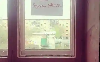 Ультиматум грабителю