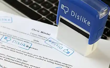 16 things that can brighten up the everyday office worker