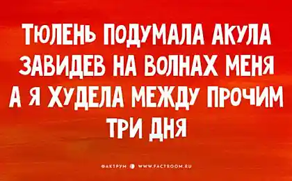 20 шуток в открытках, над которыми приятно поржать ни с того ни с сего