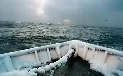 Краболовы