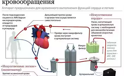 ИНФОграфика