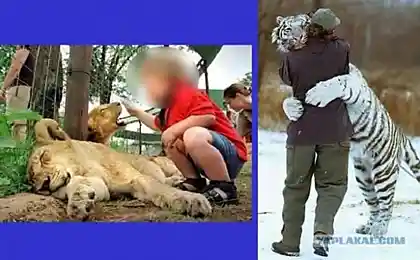 Как две капли воды