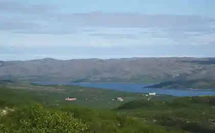 Оборонка