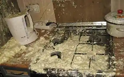 Энциклопедия человеческой глупости