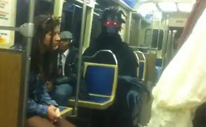 В транспорте