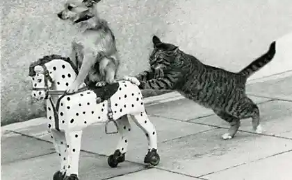 Більше всього фотографії. Частина 31.