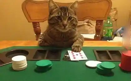 The poker face.